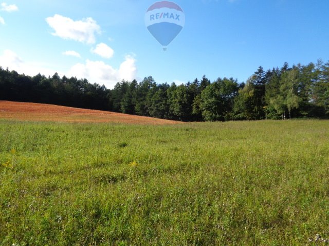 Działka budowlana na sprzedaż Ogrodniki  14 562m2 Foto 16