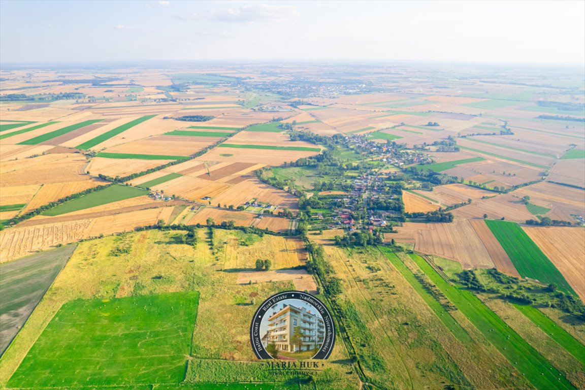 Działka gospodarstwo rolne na sprzedaż Ryszewo  13 500m2 Foto 3