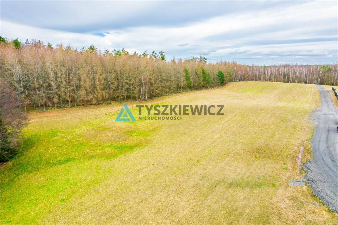 Działka budowlana na sprzedaż Łąkie, Cechyny  3 003m2 Foto 10