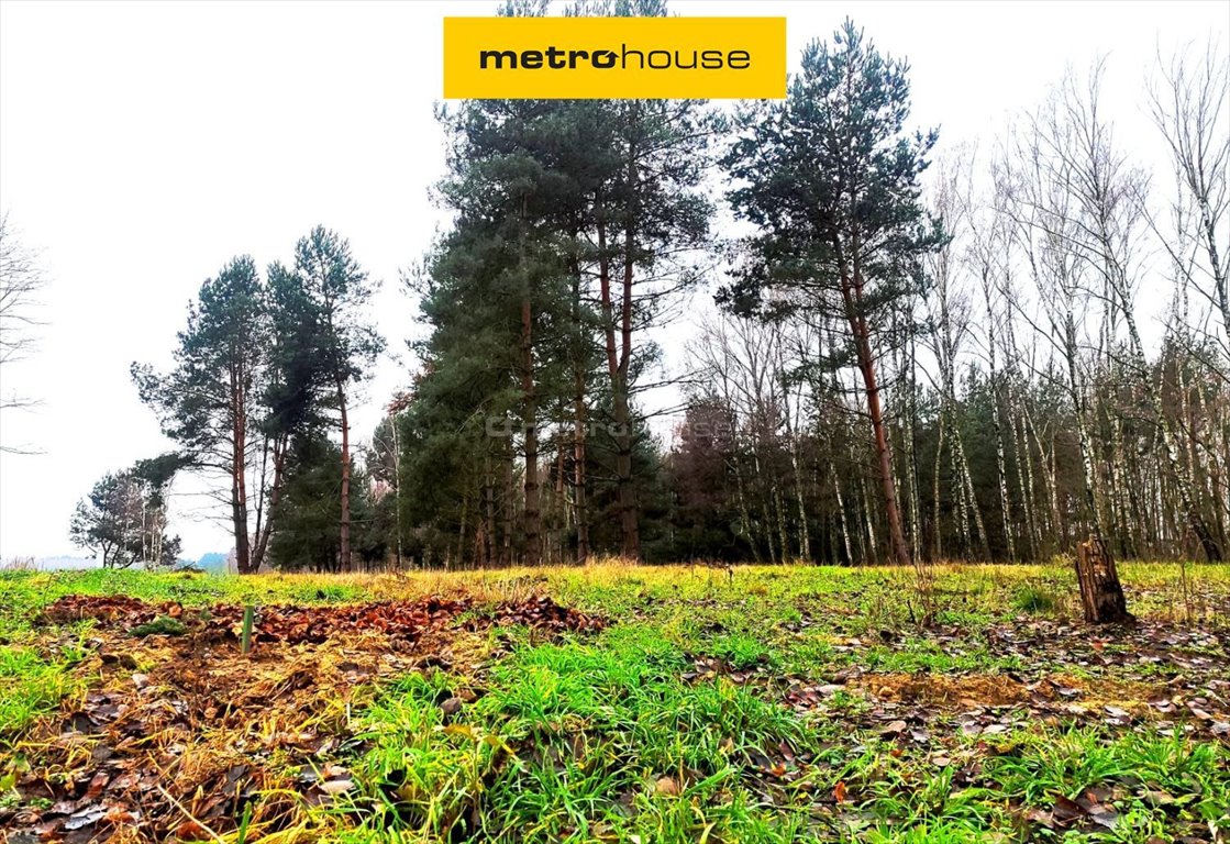 Działka budowlana 1630 m² z mediami, lasem i rzeką Suliszew  1 630m2 Foto 1