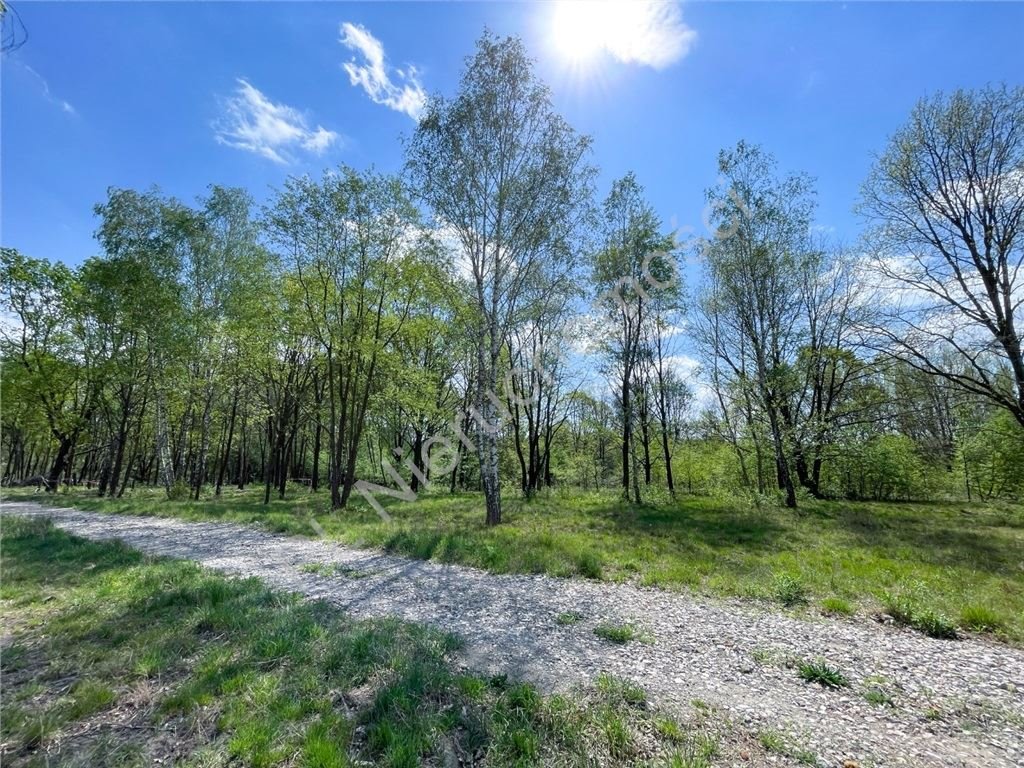 Działka 1720 m2 w Milanówku, cicha i zielona okolica Milanówek  1 720m2 Foto 1