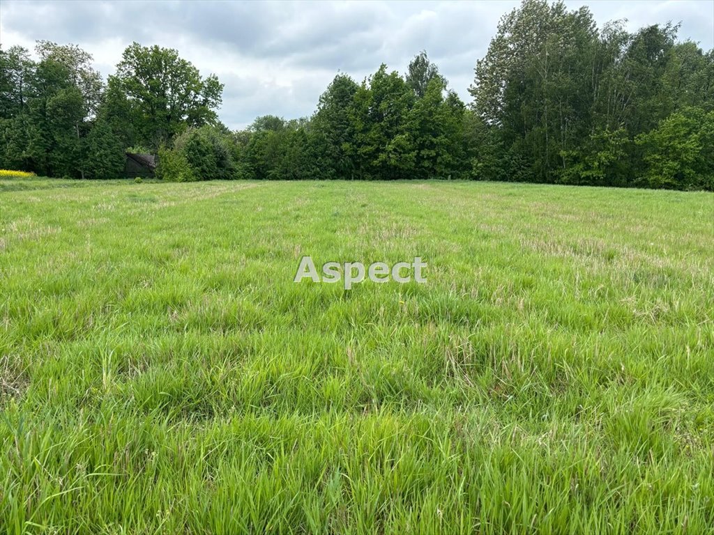 Działka budowlana na sprzedaż Studzionka  3 628m2 Foto 1