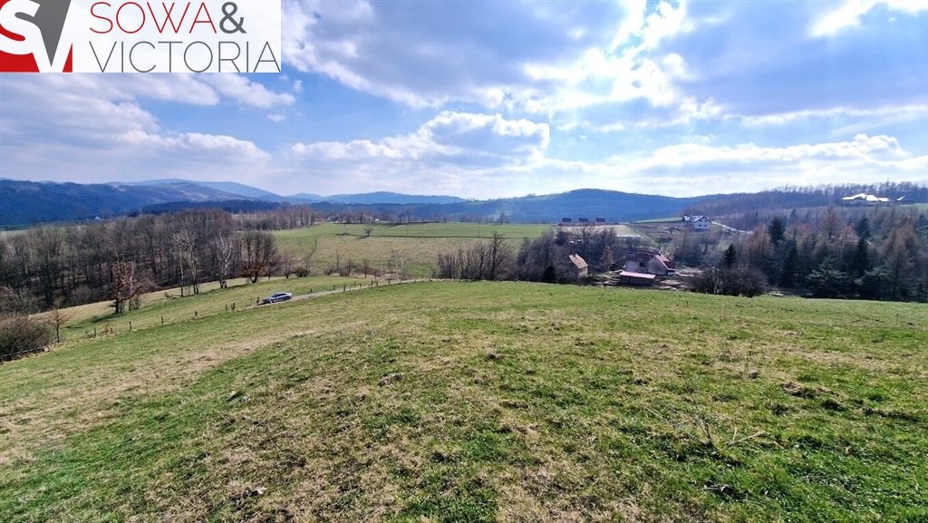 Działka budowlana na sprzedaż Zagórze Śląskie  2 100m2 Foto 13