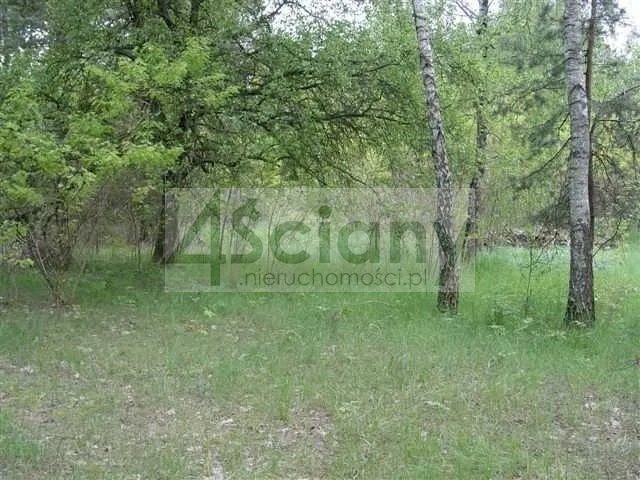 Na sprzedaż działka 6800 m² z MPZP i prądem w Maryninie Marynin  6 800m2 Foto 1