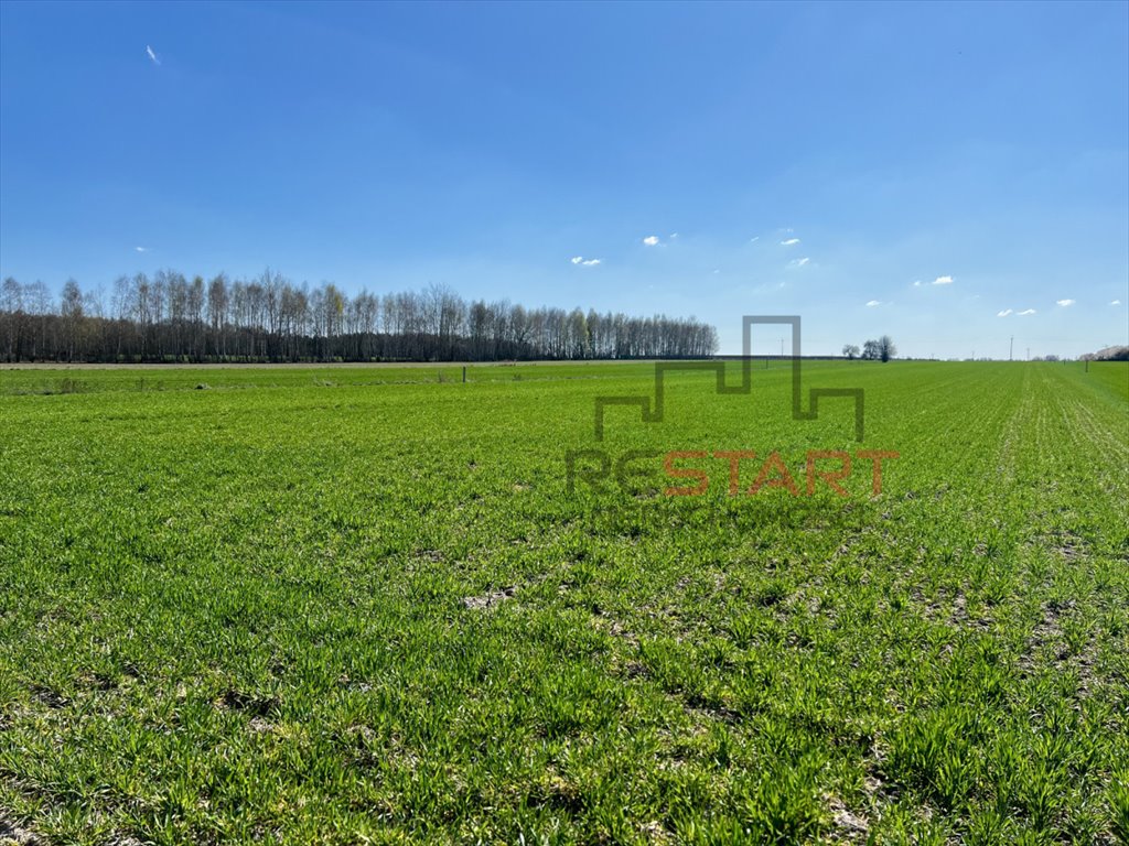 Działka budowlana na sprzedaż Korabiewice  3 000m2 Foto 1