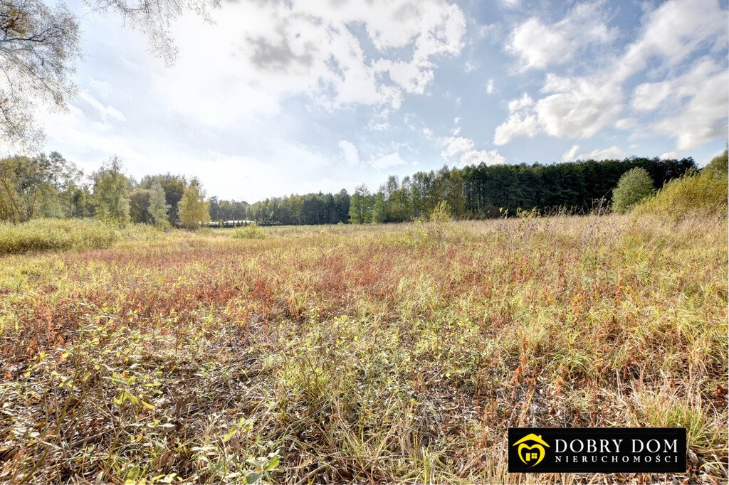 Działka budowlana na sprzedaż Hryniewicze  1 000m2 Foto 4