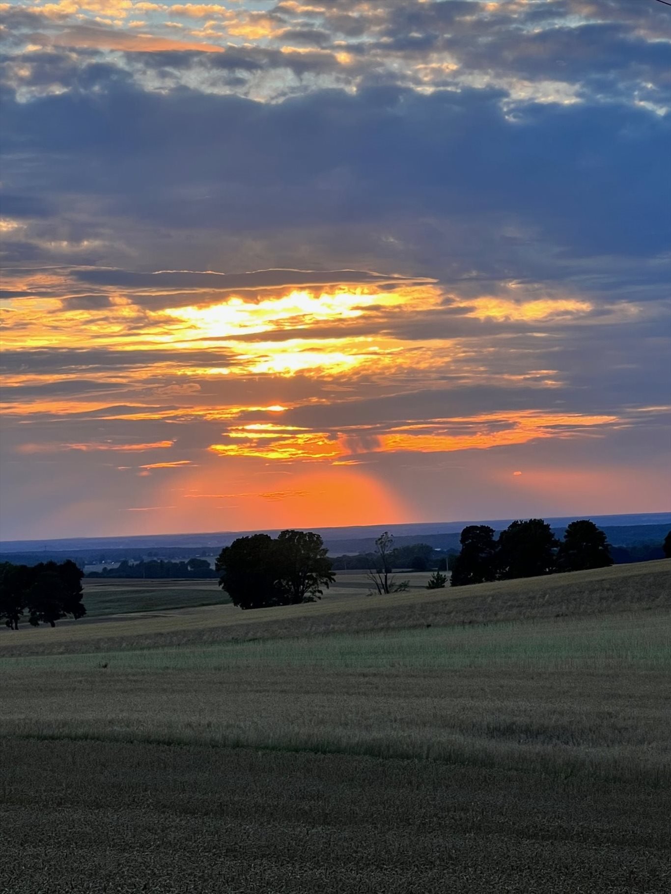 Działka budowlana na sprzedaż Pietrzwałd  1 150m2 Foto 5