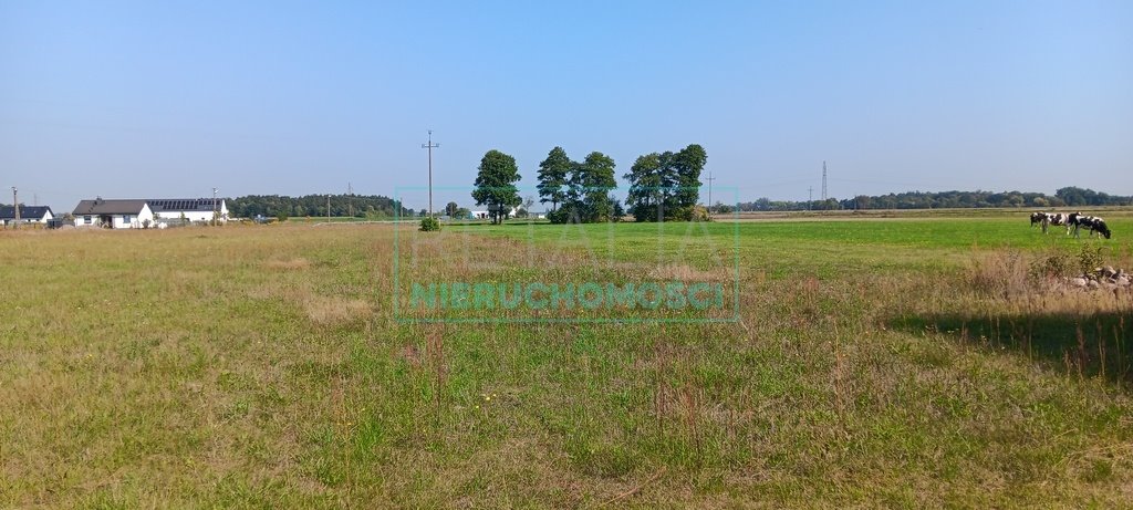 Działka 1500 m² pod dom z mediami, blisko parku wodnego Grodzisk Mazowiecki  1 500m2 Foto 1