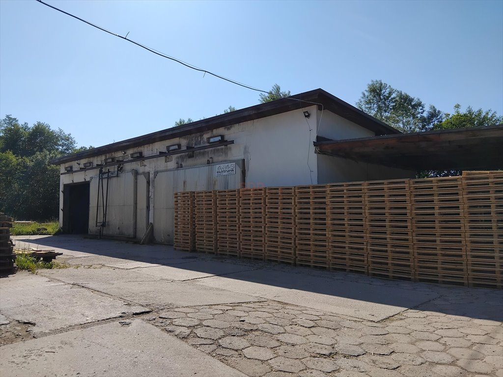 Zakład produkcyjno-przetwórczy 5,52 ha z pełnym wyposażeniem Domaszków  55 000m2 Foto 1