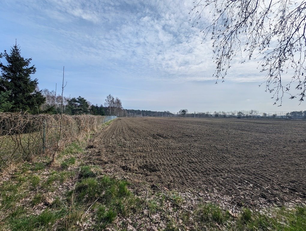 Działka budowlana na sprzedaż Dobroń, Rolnicza  1 564m2 Foto 5