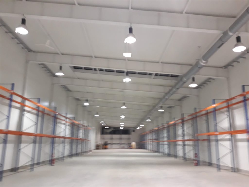 Lokal użytkowy na wynajem Bydgoszcz, Fordon 21 000m2 Foto 1 Lokal użytkowy na wynajem Bydgoszcz, Fordon 21 000m2 Foto 1