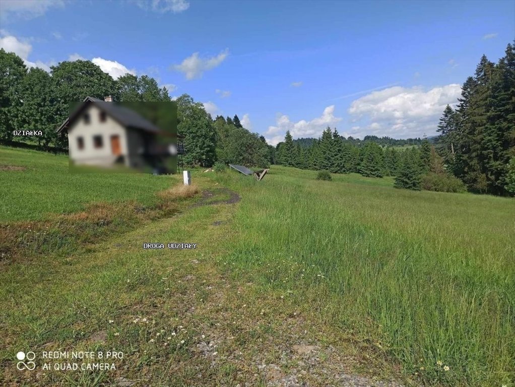 Działka budowlana na sprzedaż Laliki  1 299m2 Foto 15