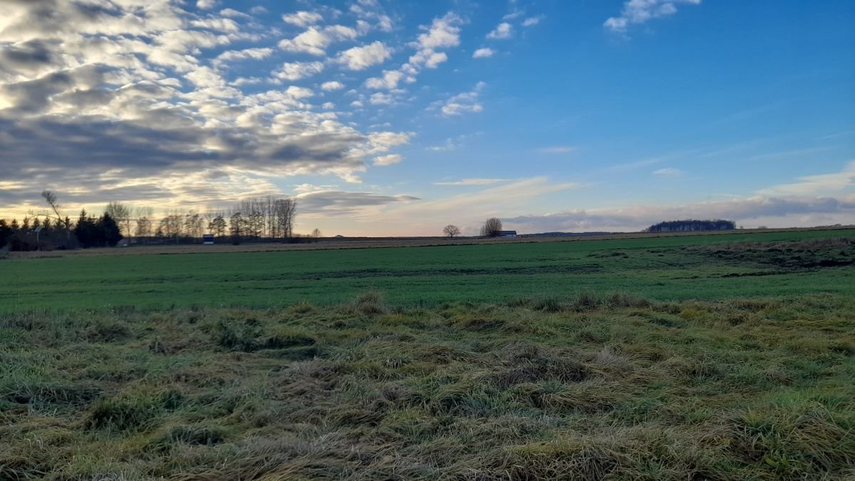 Działka budowlana na sprzedaż Krzeczyn Wielki, Krzeczyn Wielki  1 000m2 Foto 3