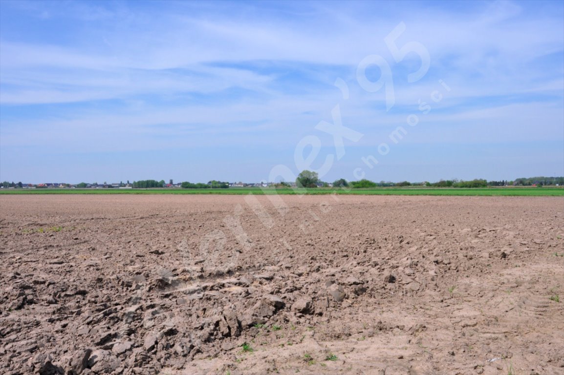 Działka budowlana na sprzedaż Dopiewiec  915m2 Foto 2