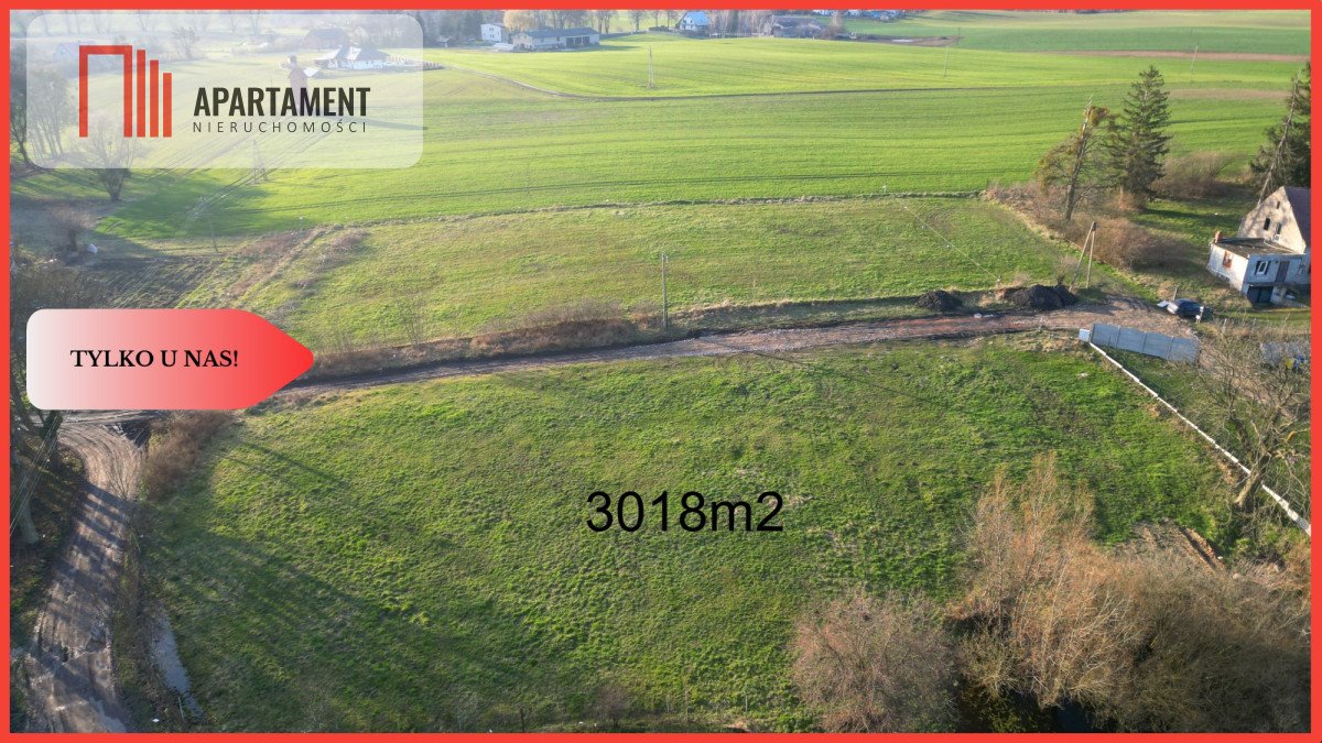 Działka budowlana na sprzedaż Dalwin  3 018m2 Foto 1