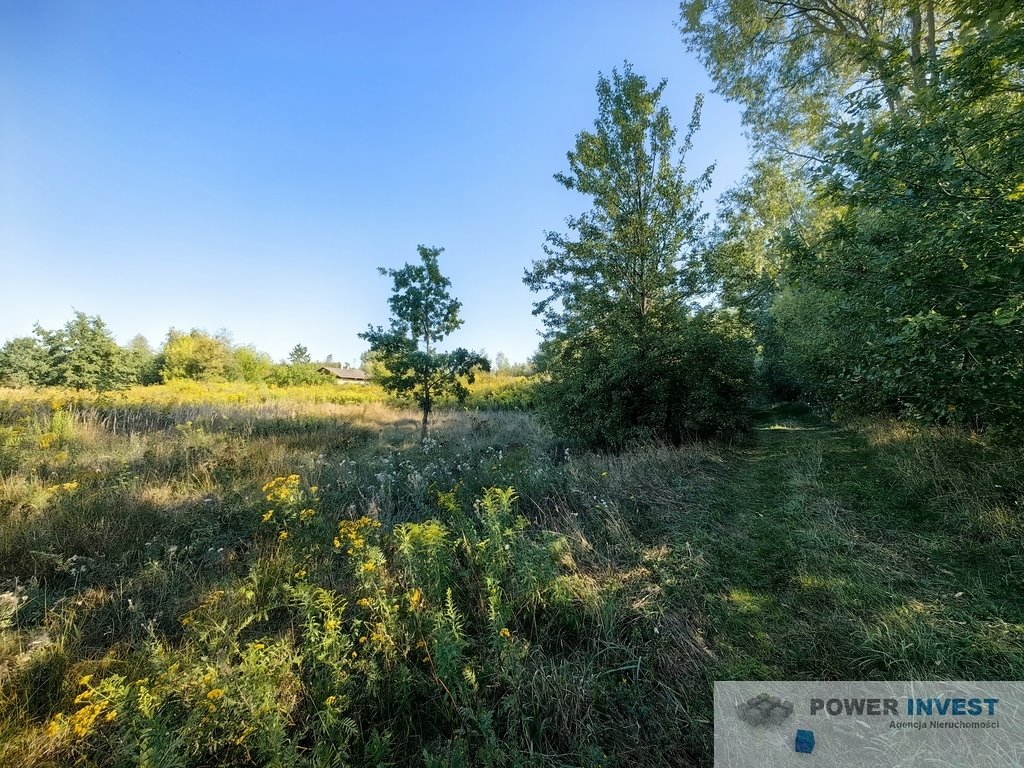 Działka budowlana na sprzedaż Jaktorów-Kolonia  8 770m2 Foto 7