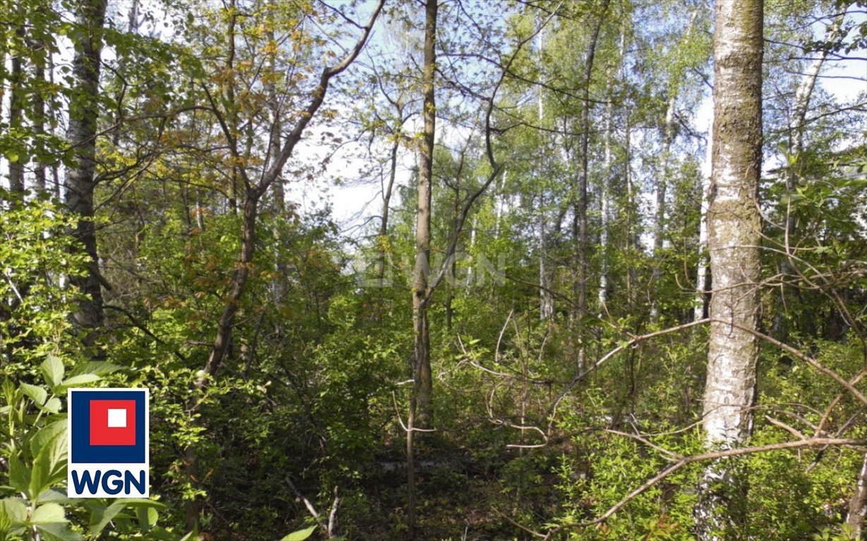 Na sprzedaż działki budowlane 1046 m² z warunkami zabudowy Częstochowa, Wrzosowiak, Jesienna  1 046m2 Foto 1