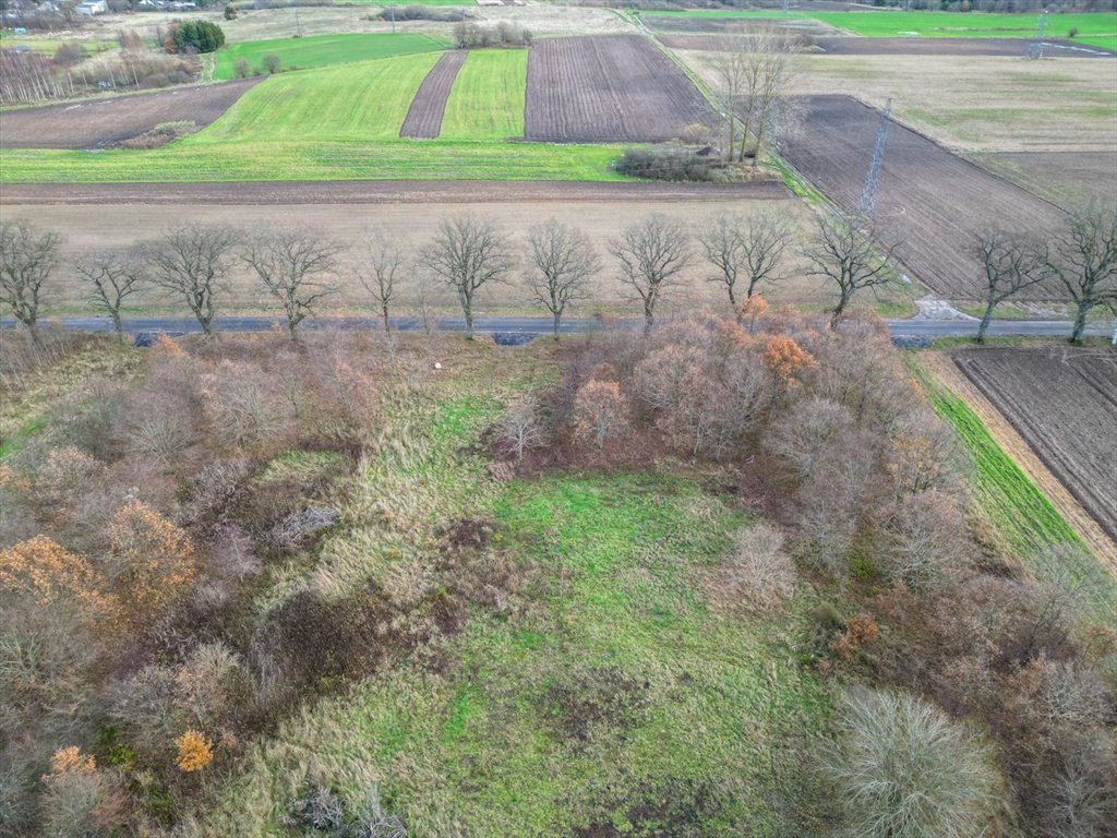 Działka budowlana na sprzedaż Pieńkowo  672m2 Foto 4