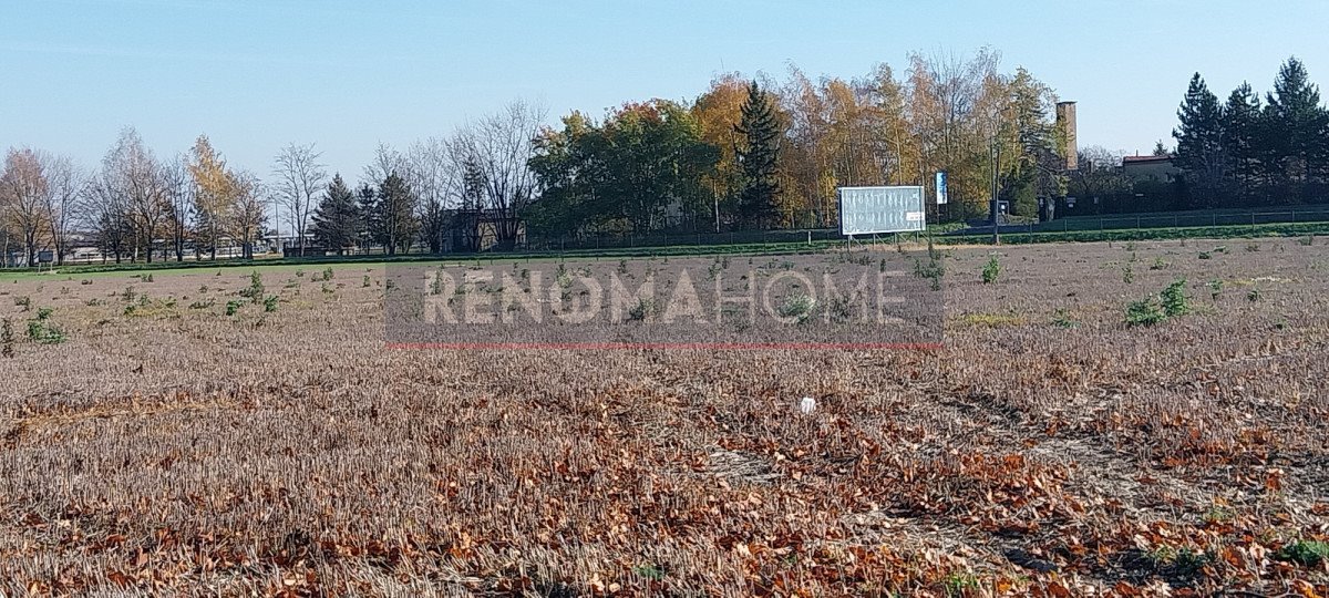 Działka inwestycyjna na sprzedaż Świebodzice  14 000m2 Foto 9