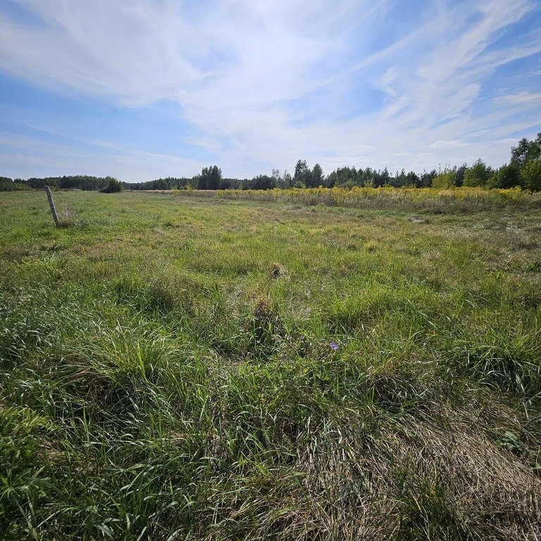 Działka rolna na sprzedaż Prace Małe, Polna  27 892m2 Foto 5