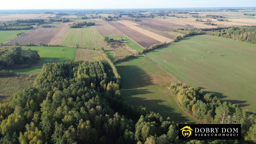 Działka rolna na sprzedaż Folwarki Wielkie  29 100m2 Foto 2