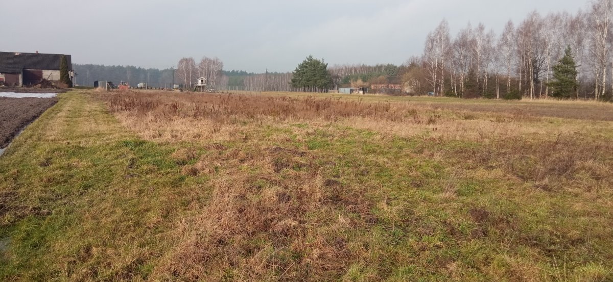 Działka budowlana na sprzedaż Piaski, Piaski  3 001m2 Foto 7