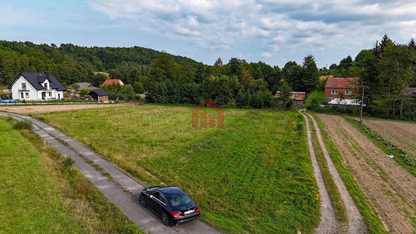 Działka budowlana na sprzedaż Niedźwiada  3 800m2 Foto 2