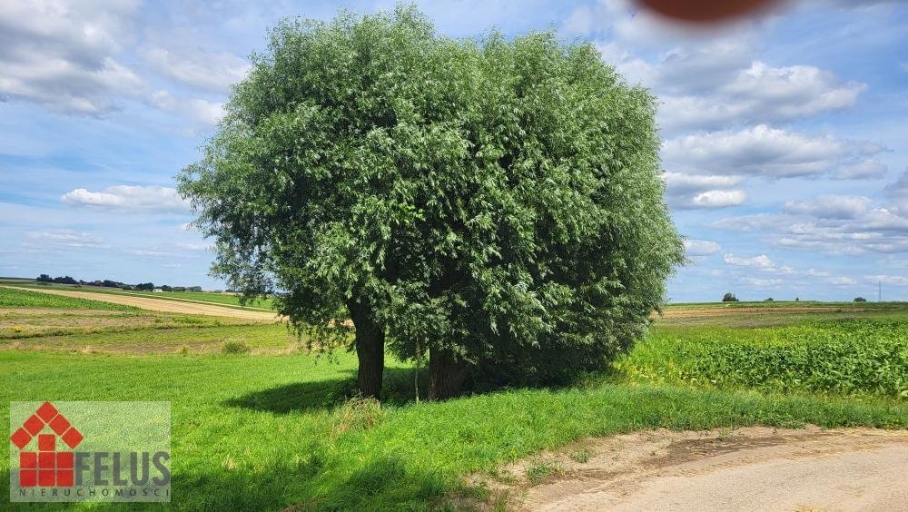 Działka inna na sprzedaż Czuszów  1 600m2 Foto 7