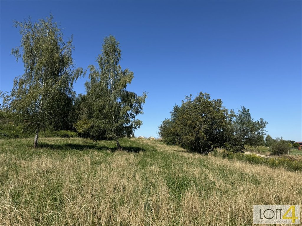 Działka inna na sprzedaż Koszyce Wielkie  2 900m2 Foto 7