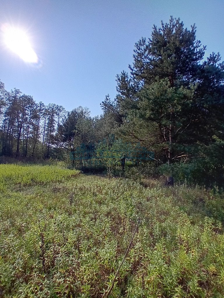 Działka budowlana na sprzedaż Izabelin-Dziekanówek  1 200m2 Foto 16