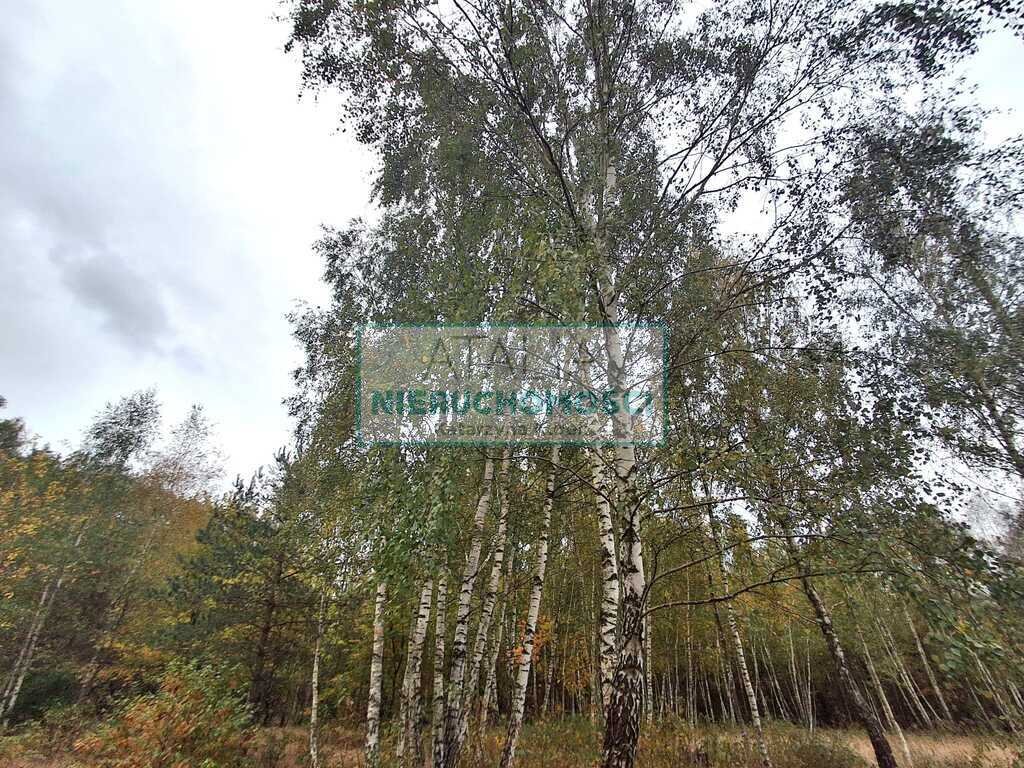 Zapraszam do obejrzenia zadrzewionej działki 2800 m² pod dom Radonie  2 800m2 Foto 1