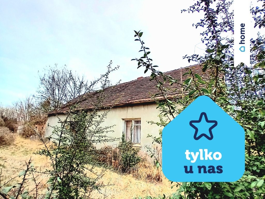 Działka 2500m² z domem do remontu, prąd, asfalt, przyroda Smogorzów Wielki  2 500m2 Foto 1