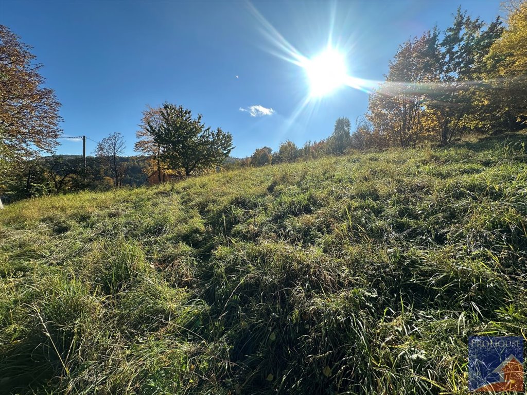 Działka budowlana na sprzedaż Laskowa  1 244m2 Foto 1