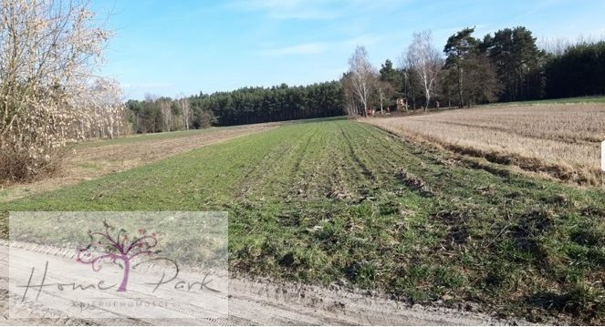 Działka rekreacyjna na sprzedaż Szydłów  2 930m2 Foto 1