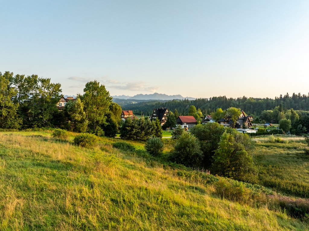 Działka budowlana na sprzedaż Czarna Góra  1 463m2 Foto 1