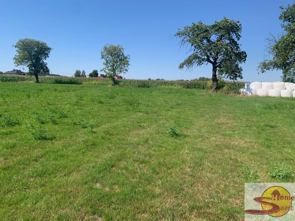 Działka 14 423 m² z warunkami zabudowy w Przyłęku Przyłęk  14 423m2 Foto 1