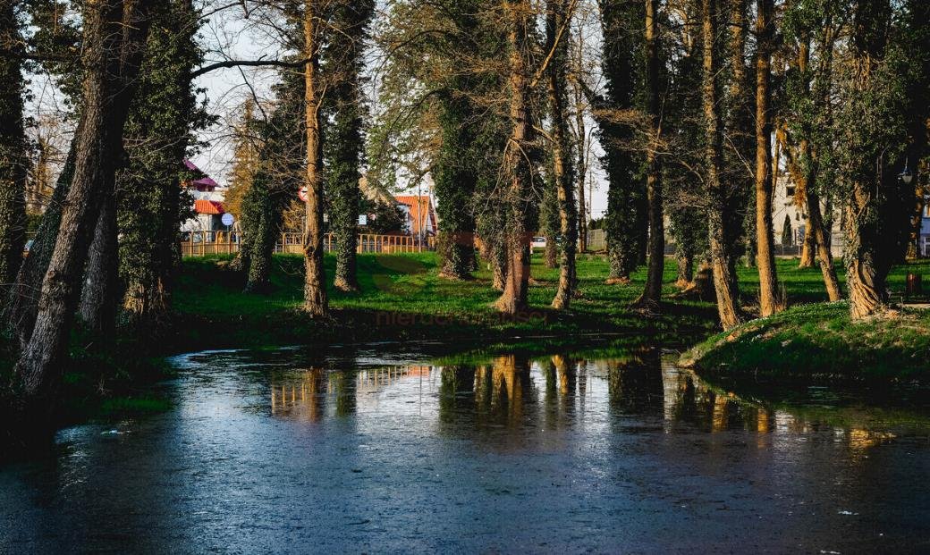 Działka komercyjna na sprzedaż Radwanice, Katarzyńska  10 000m2 Foto 3