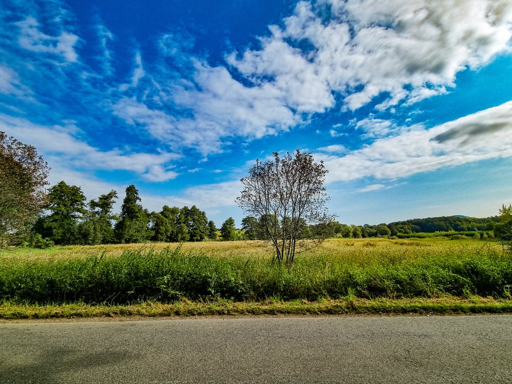 Działka inna na sprzedaż Wilkanów  1 500m2 Foto 1