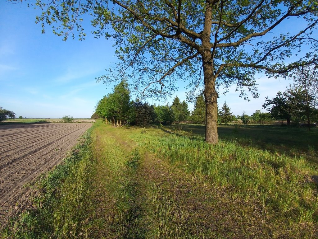 Działka budowlana na sprzedaż Wola Zbrożkowa  18 923m2 Foto 5