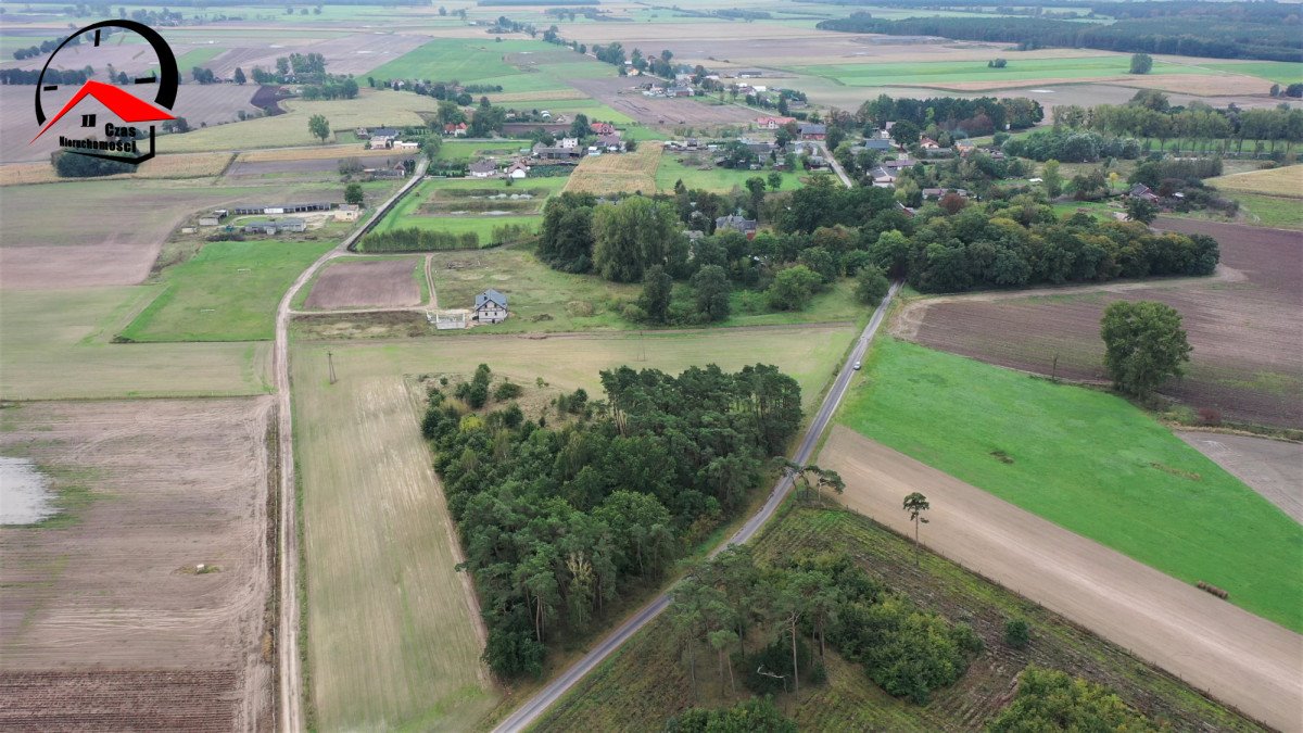 Działka budowlana na sprzedaż Radojewice  921m2 Foto 8