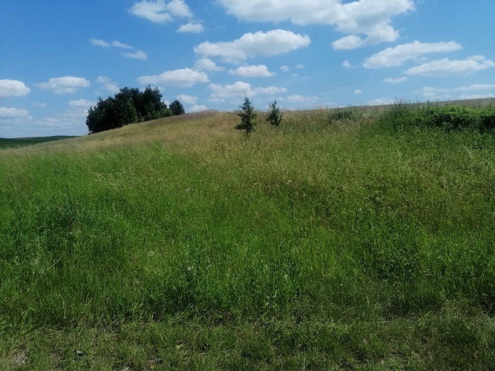 Działka rekreacyjna na sprzedaż Chłopowo  3 800m2 Foto 4