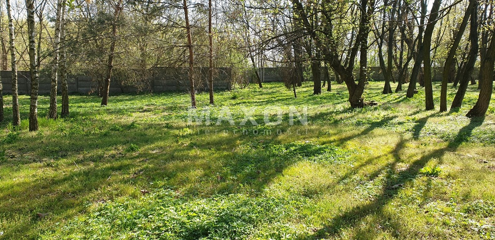 Działka budowlana na sprzedaż Borzęcin Duży  20 000m2 Foto 11