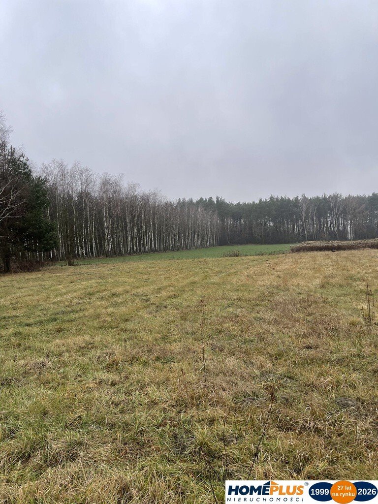Zdjęcie 5