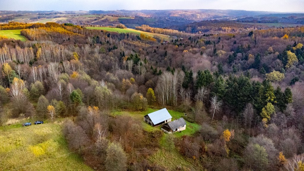 Dom na sprzedaż Borówki  80m2 Foto 16