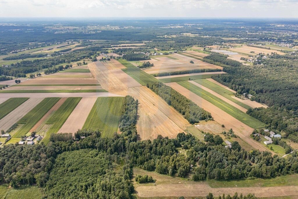 Działka budowlana na sprzedaż Rowy  6 400m2 Foto 3