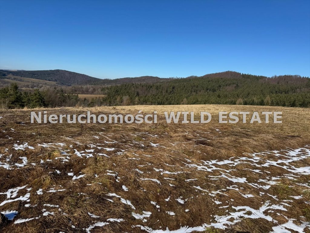 Duża działka rolna w Bieszczadach, 89 tys. m2, Natura 2000 Zagórz, Kalnica  89 445m2 Foto 1