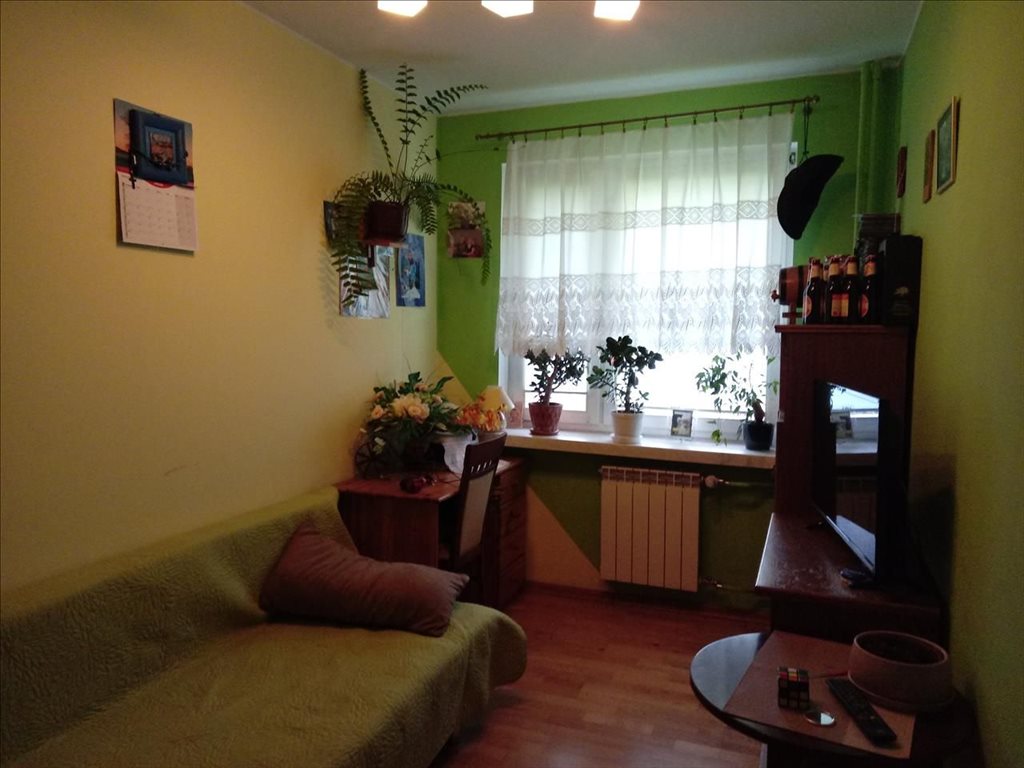 Mieszkanie trzypokojowe na sprzedaż wolomin 530m2 Foto 1 Mieszkanie trzypokojowe na sprzedaż wolomin 530m2 Foto 1