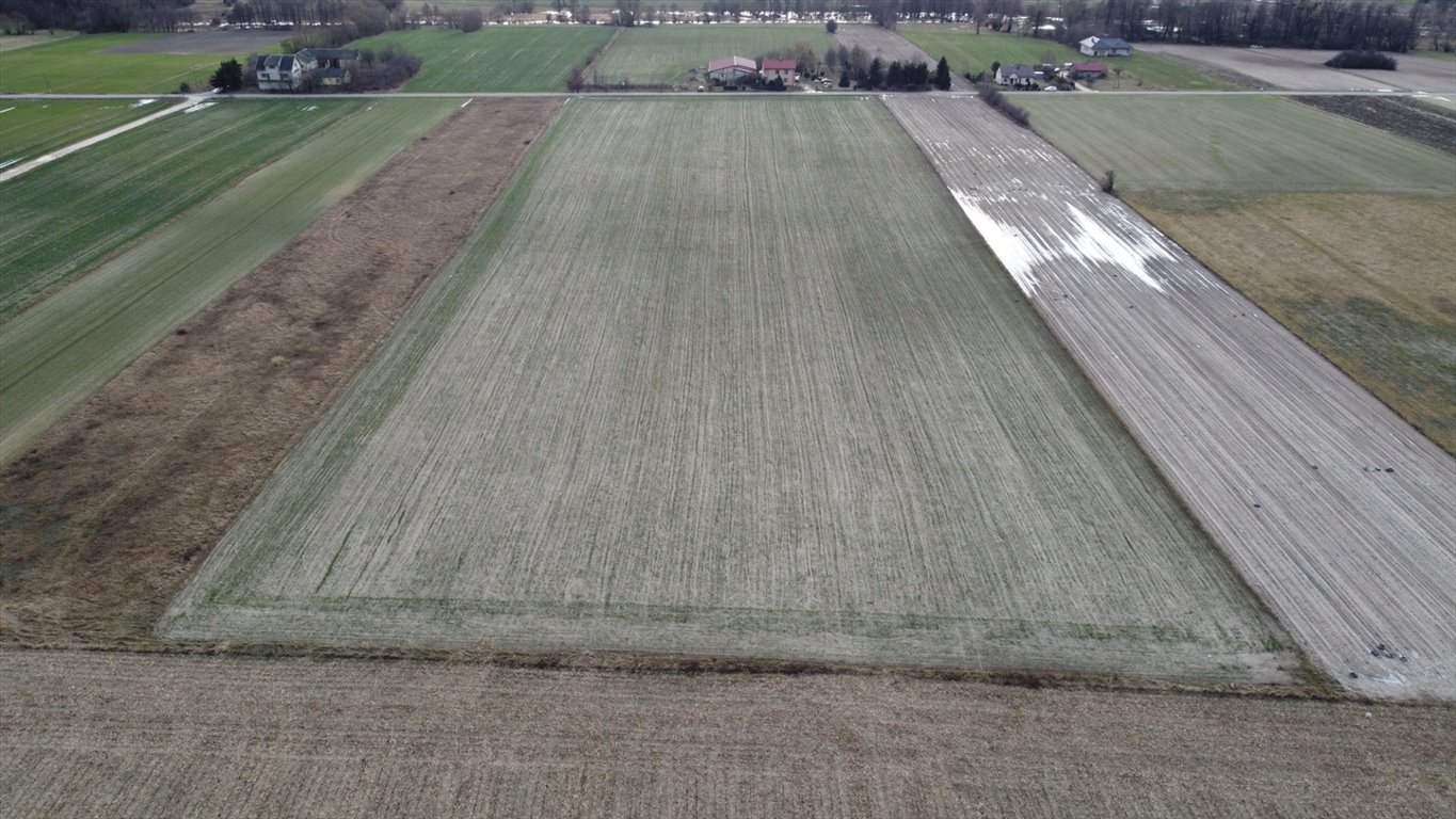 Działka rolna na sprzedaż Proboszczewice  35 600m2 Foto 4