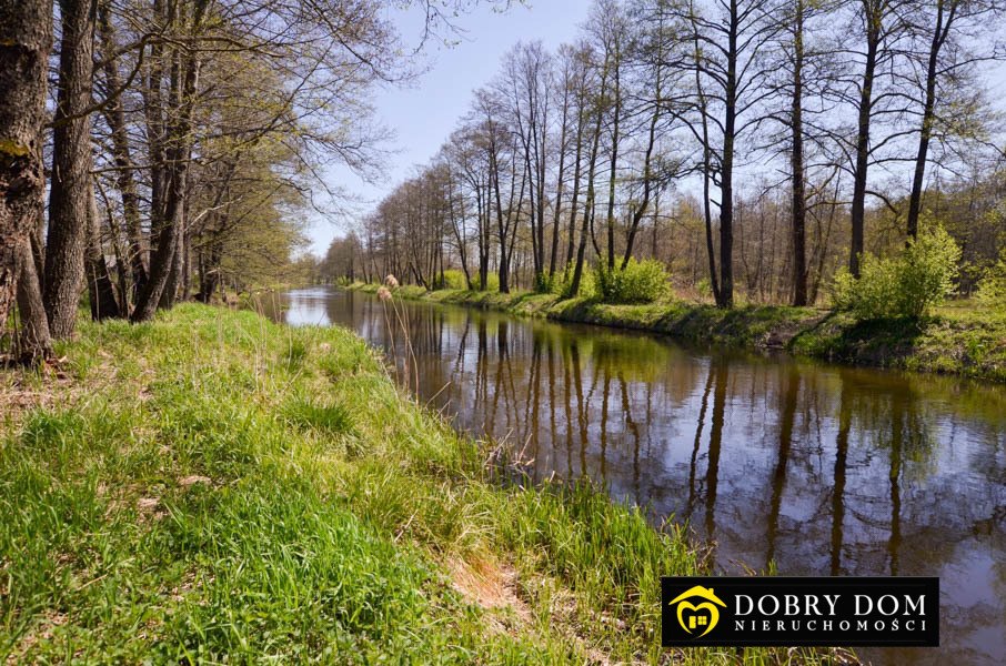 Na sprzedaż działka nad Szlamicą z linią brzegową i możliwością budowy Rygol  3 200m2 Foto 1