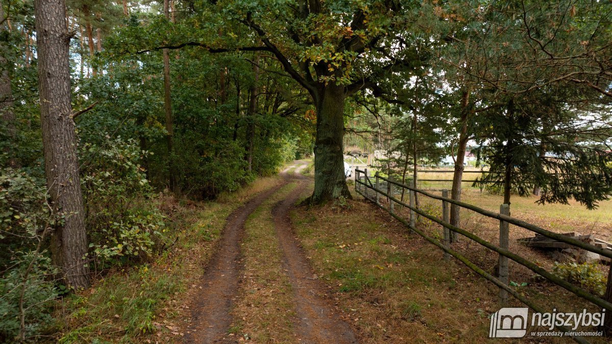 Działka rolna na sprzedaż Podańsko, Radosna  1 032m2 Foto 3